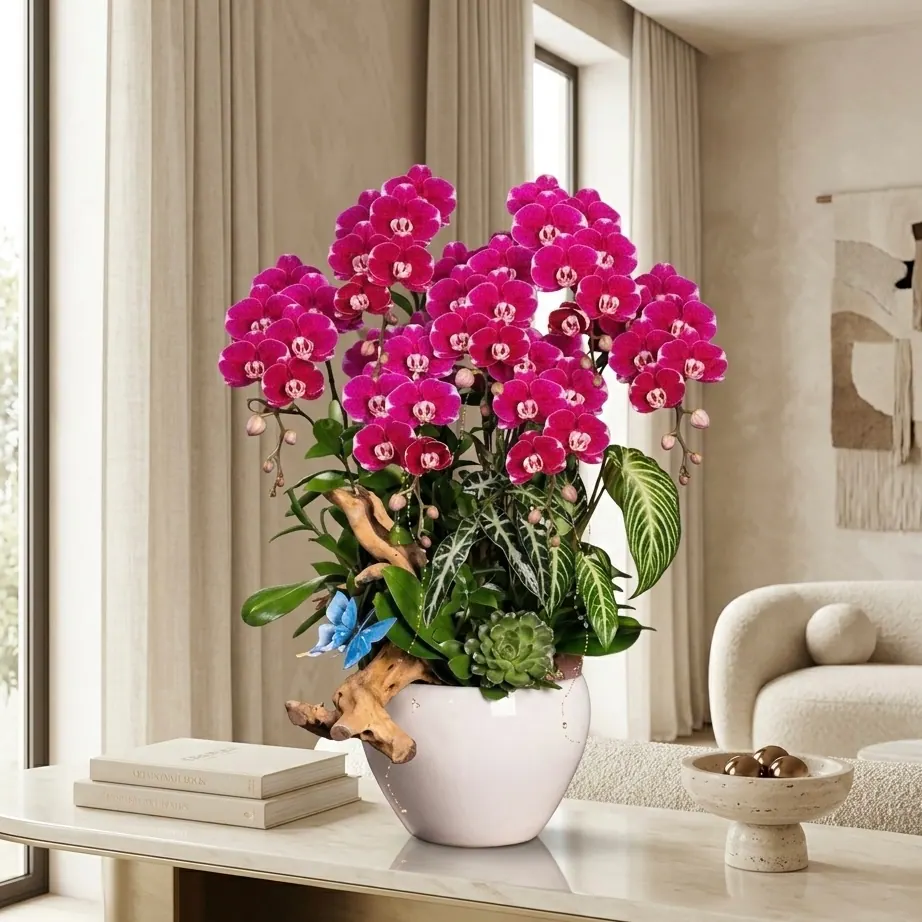 Chậu lan hồ điệp đỏ 7 cành mix tiểu cảnh gỗ lũa và bướm xanh trang trí The Phala