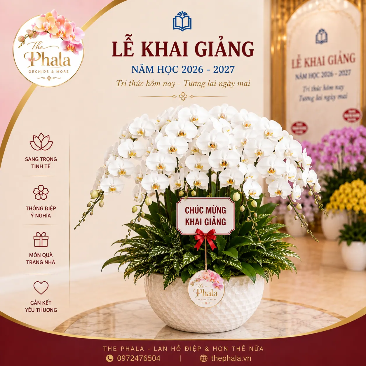 Chậu lan hồ điệp trắng 20 cành cắm xòe tròn trong chậu sứ trắng họa tiết vảy cá trang trí sự kiện và khai giảng từ The Phala
